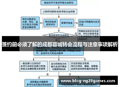 签约前必须了解的成都蓉城转会流程与注意事项解析