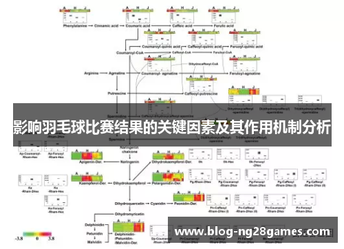 影响羽毛球比赛结果的关键因素及其作用机制分析