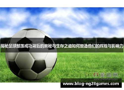 揭秘足球部落成功背后的奥秘与生存之道如何塑造他们的辉煌与影响力