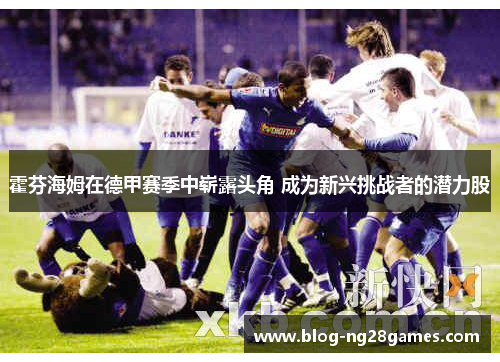 霍芬海姆在德甲赛季中崭露头角 成为新兴挑战者的潜力股