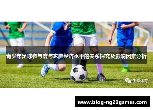青少年足球参与度与家庭经济水平的关系探究及影响因素分析